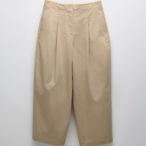 Zara Pleated Pants - Picture 5 of 5
